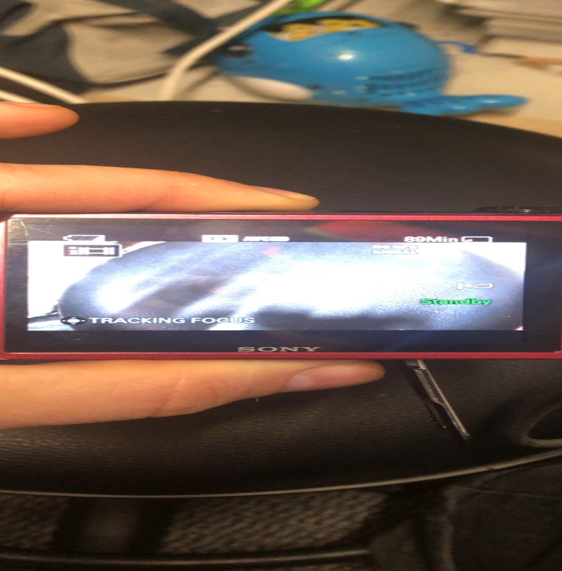 Sony Cyber-shot DSC-HX7V — verified by NotedIn